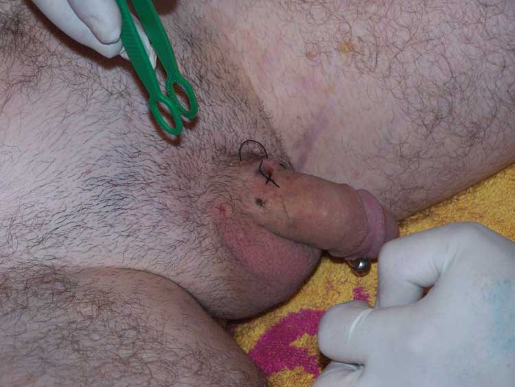 viginal piercings. vaginal piercing videos.